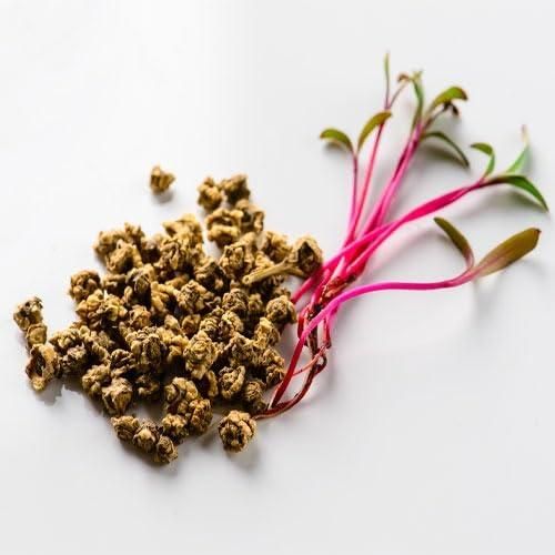 Beetroot Seeds (Free Organic Pot Mix 100 gm) i6r2ja-hp