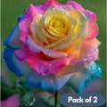 Rainbow Rose Seeds with Free Plant Growth Serum Pack of 2 i6r2ja-hp