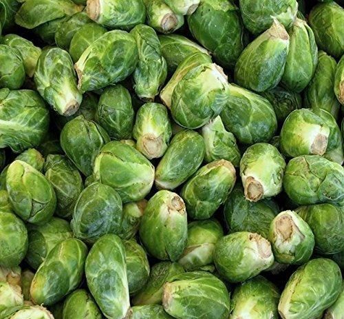 Nema organic brussels sprouts seeds i6r2ja-hp