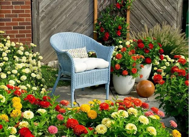 40 Varieties of Flower Seeds i6r2ja-hp