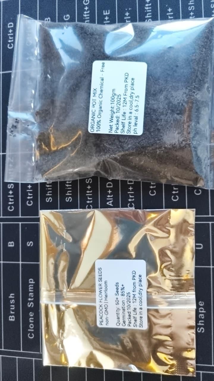 Vibrant Peacock Flower Seeds Pack of 1 i6r2ja-hp