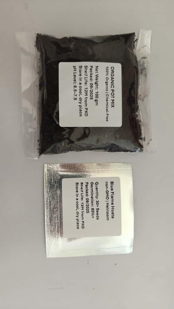 Blue Flame Hostas and Free Organic Pot Mix 100 Grams i6r2ja-hp