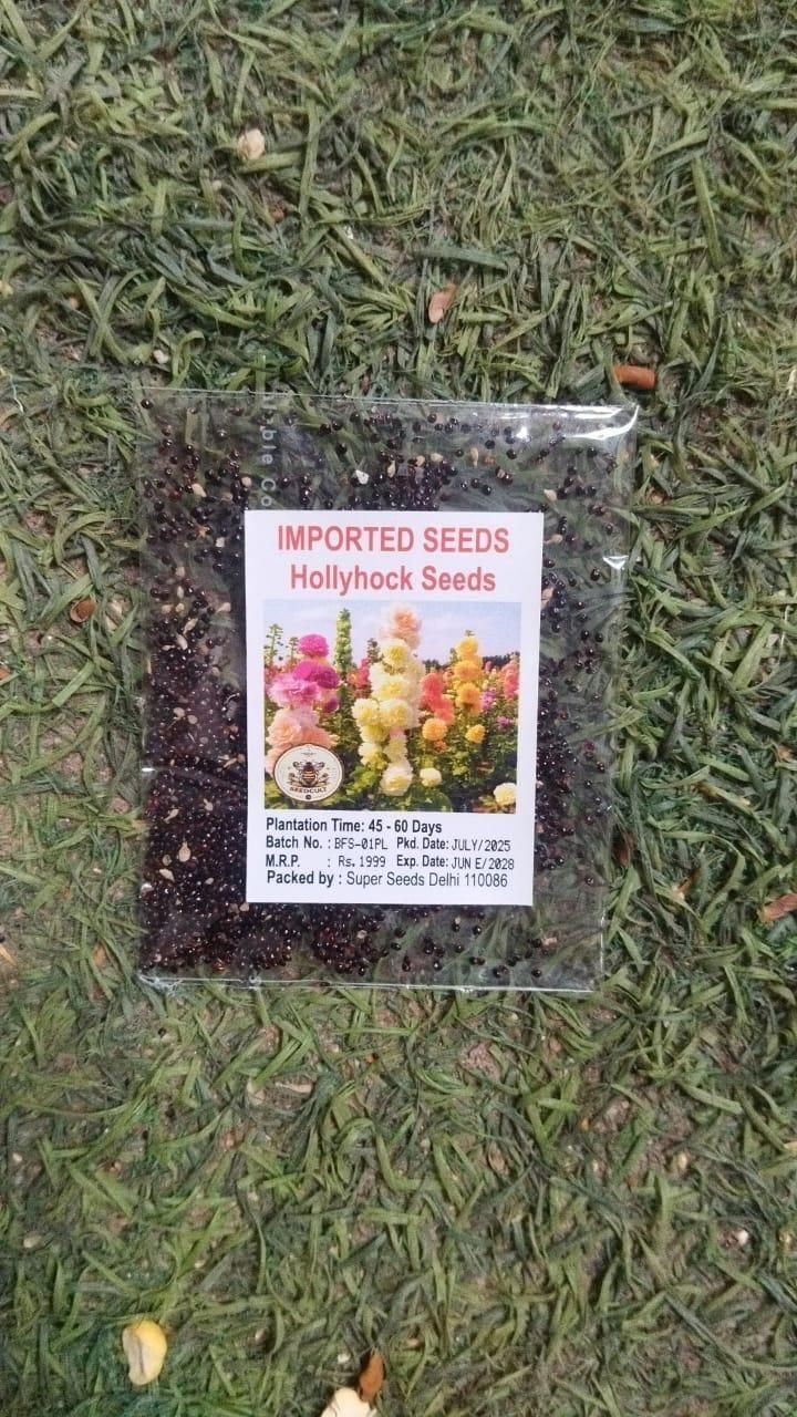 Imported Hollyhock Seeds	(Pack of 2) i6r2ja-hp