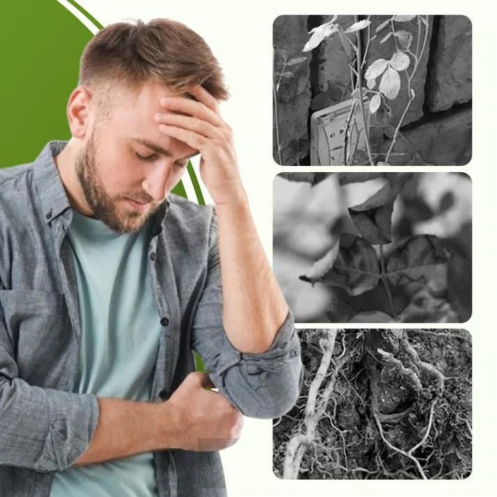 Soluble Disease Control Fertilizer 100 ml Pack of 1 i6r2ja-hp