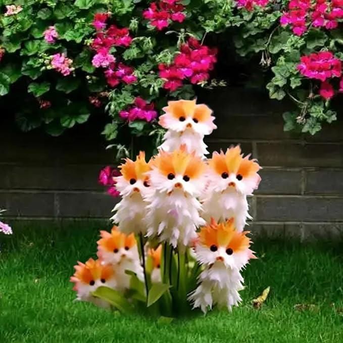 Cat Eye Dazzle Seeds + Plant Growth Serum Free i6r2ja-hp