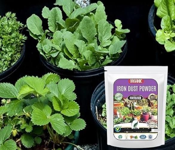 Iron Dust Fertilizer (350gm) i6r2ja-hp