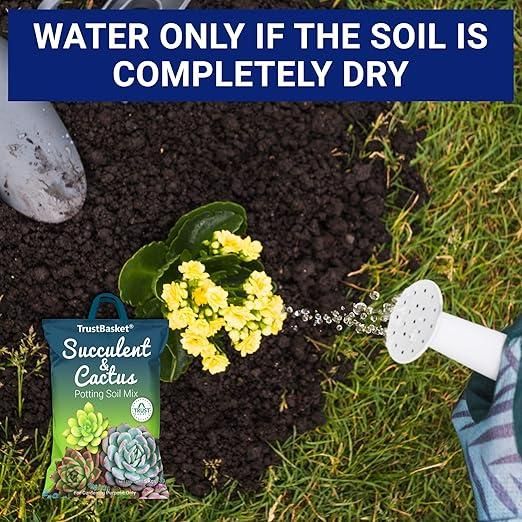 Succulent and Cactus Potting Soil Mix (350gm) i6r2ja-hp