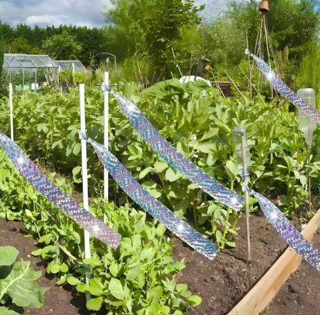 Double Sided Reflective Bird Scare Tape i6r2ja-hp