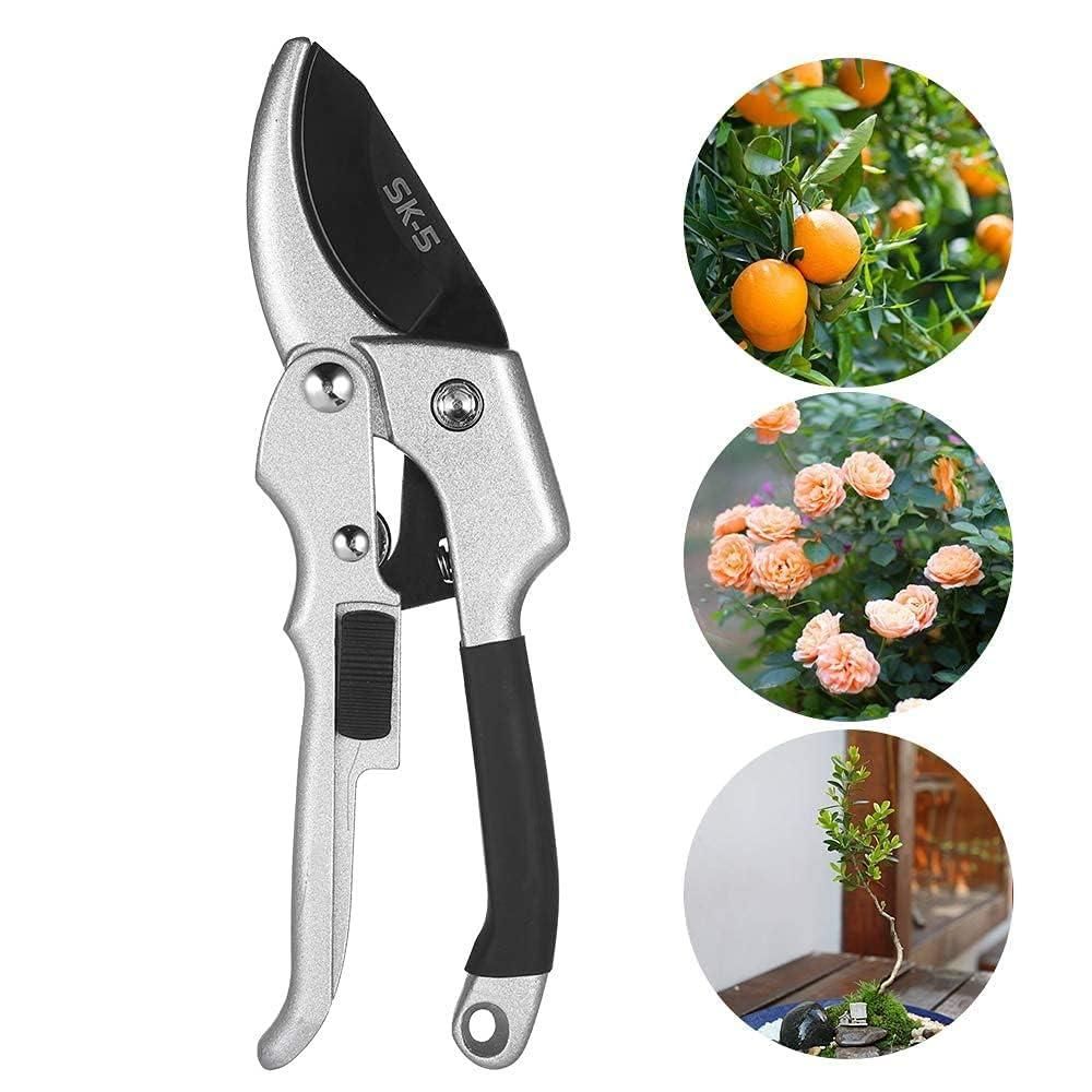 Pruning Shears i6r2ja-hp