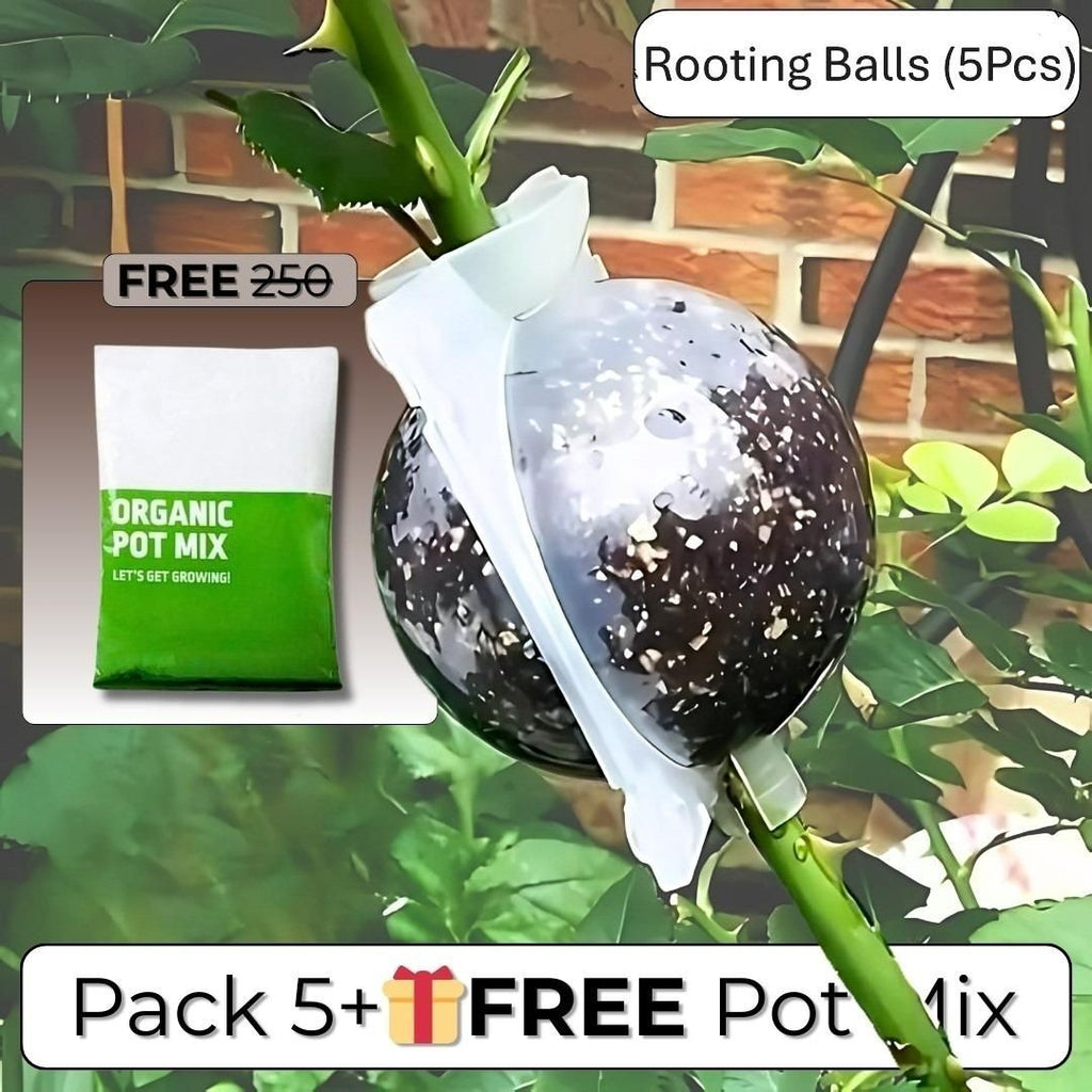 Rooting Balls Pack of 5 with Pot Mix Combo i6r2ja-hp