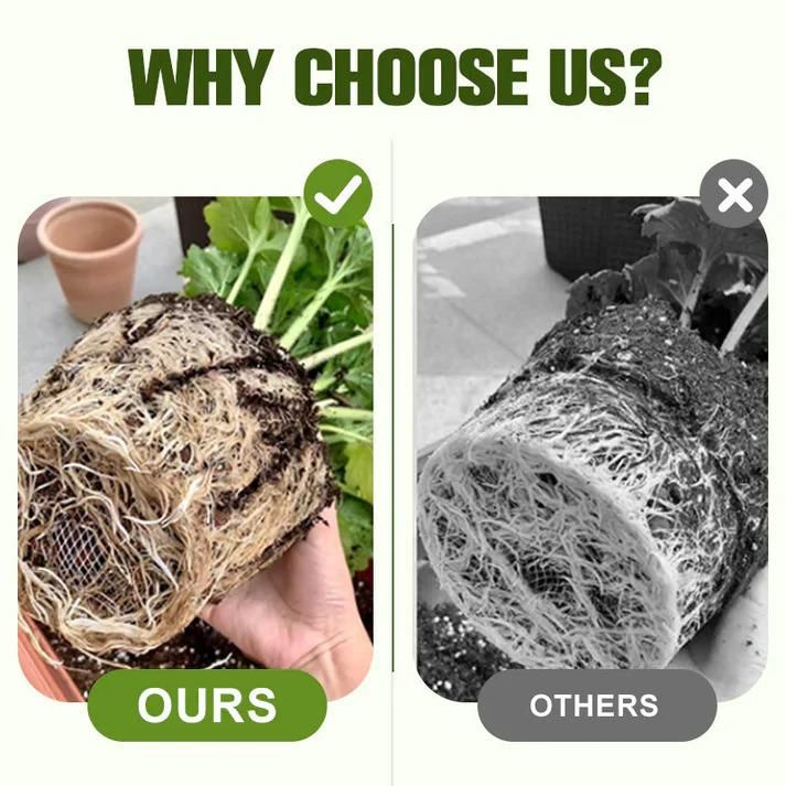 Soluble Disease Control Fertilizer 100 ml Pack of 1 i6r2ja-hp