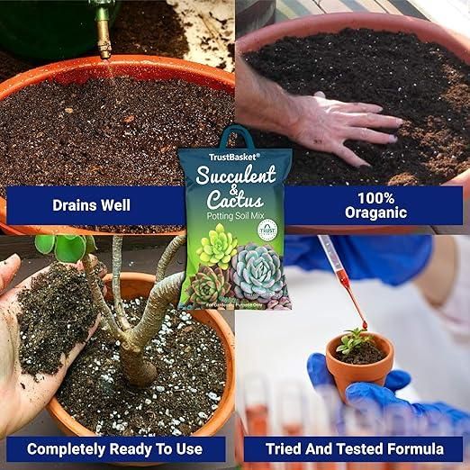 Succulent and Cactus Potting Soil Mix (350gm) i6r2ja-hp