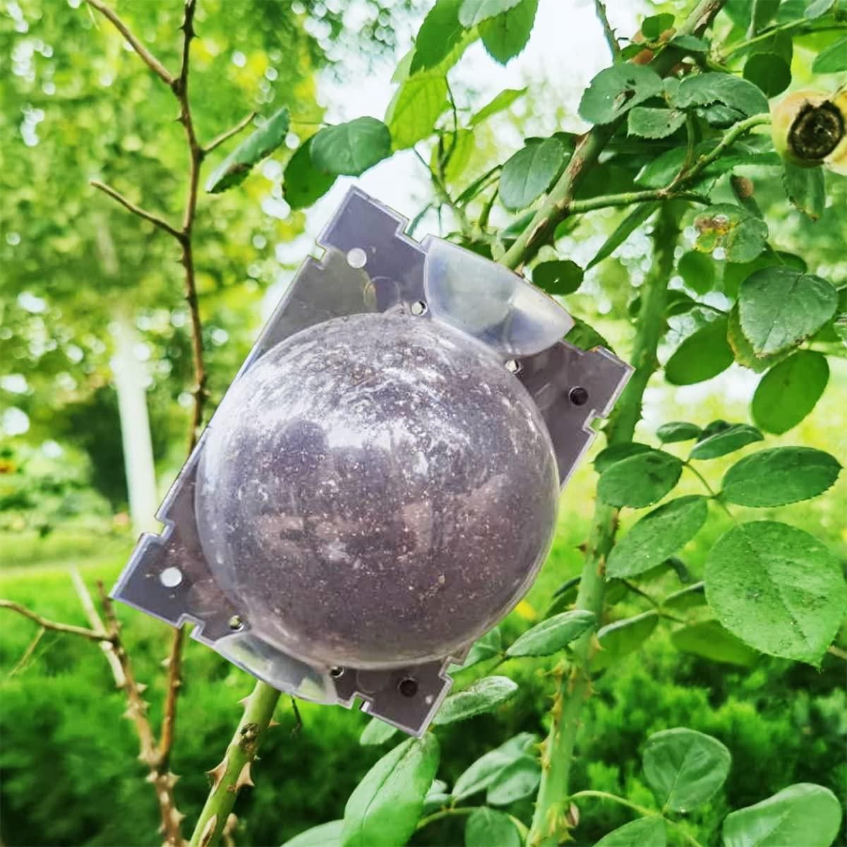 Rooting Balls Pack of 5 with Pot Mix Combo i6r2ja-hp