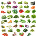 45 Varieties of Fruit and Vegetable Seeds i6r2ja-hp