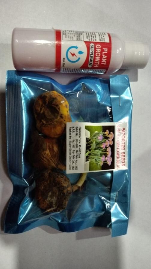 Rare Medusa Orchid with Plant Growth Supplement (Pack of 8) i6r2ja-hp