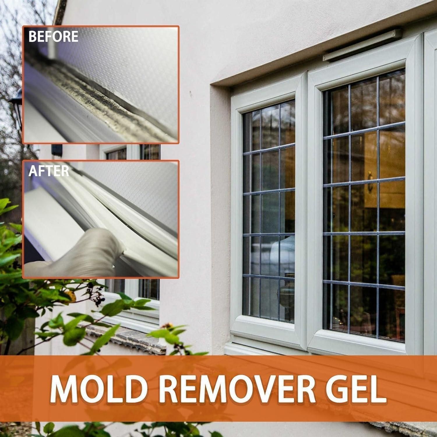 Mold Remover Gel 90 gm i6r2ja-hp