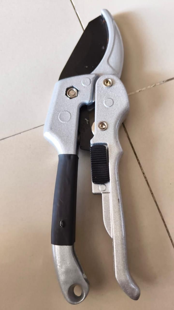 Pruning Shears i6r2ja-hp