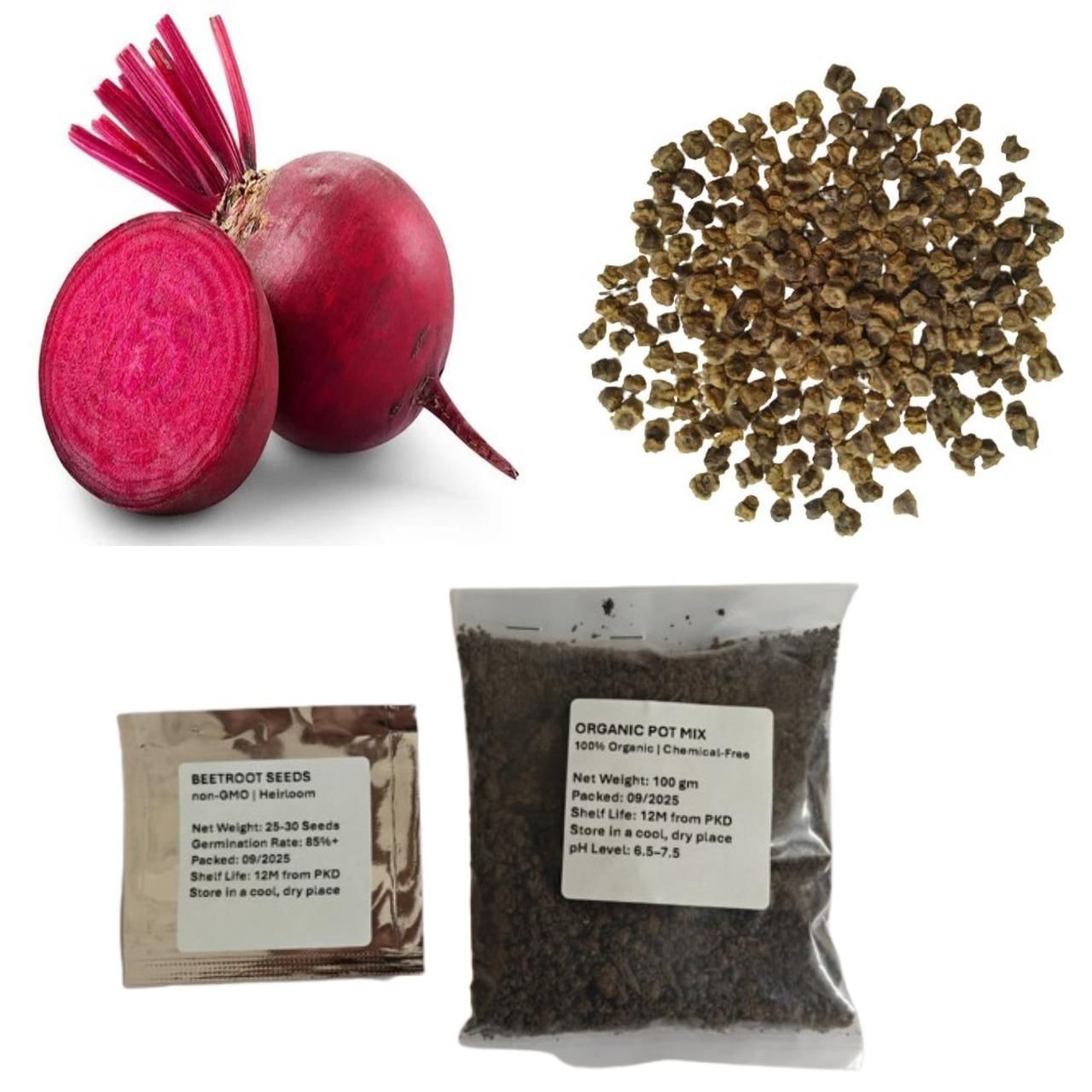 Beetroot Seeds (Free Organic Pot Mix 100 gm) i6r2ja-hp