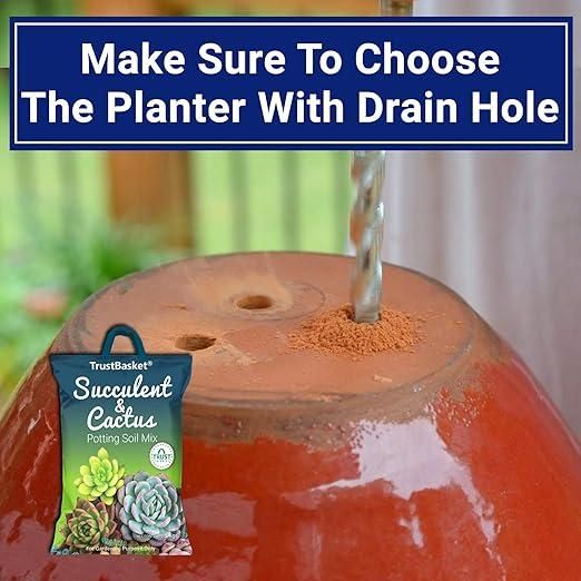 Succulent and Cactus Potting Soil Mix (350gm) i6r2ja-hp