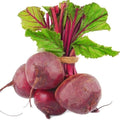 Beetroot Seeds (Free Organic Pot Mix 100 gm) i6r2ja-hp