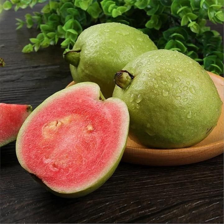 Organic Guava Seeds (Free Pot Mixture 100 gm) i6r2ja-hp