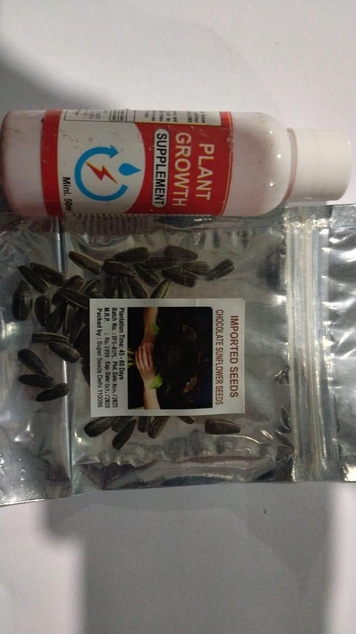 Chocolate Sunflower Seeds i6r2ja-hp