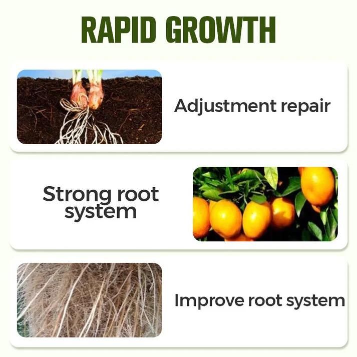 Soluble Disease Control Fertilizer 100 ml Pack of 1 i6r2ja-hp