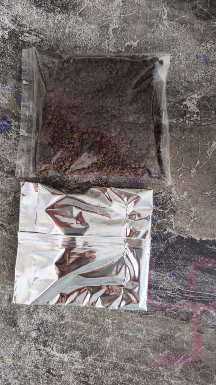 Kissbloom Roses Seeds Pack of 1 i6r2ja-hp